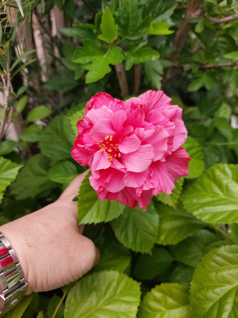 朝晩と肌寒くなってきましたが、サロンでは、まだ半袖で過ごしてる勤続30年の山口です😊