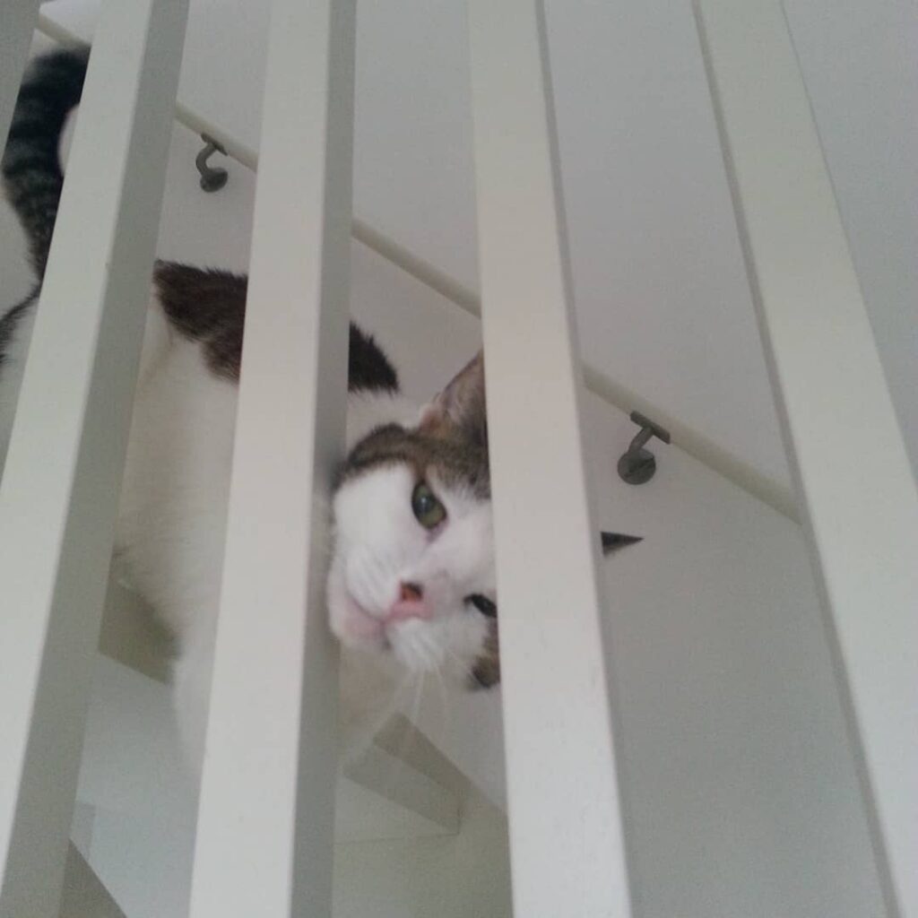 チーフtakeのブログ　手から伝わった!