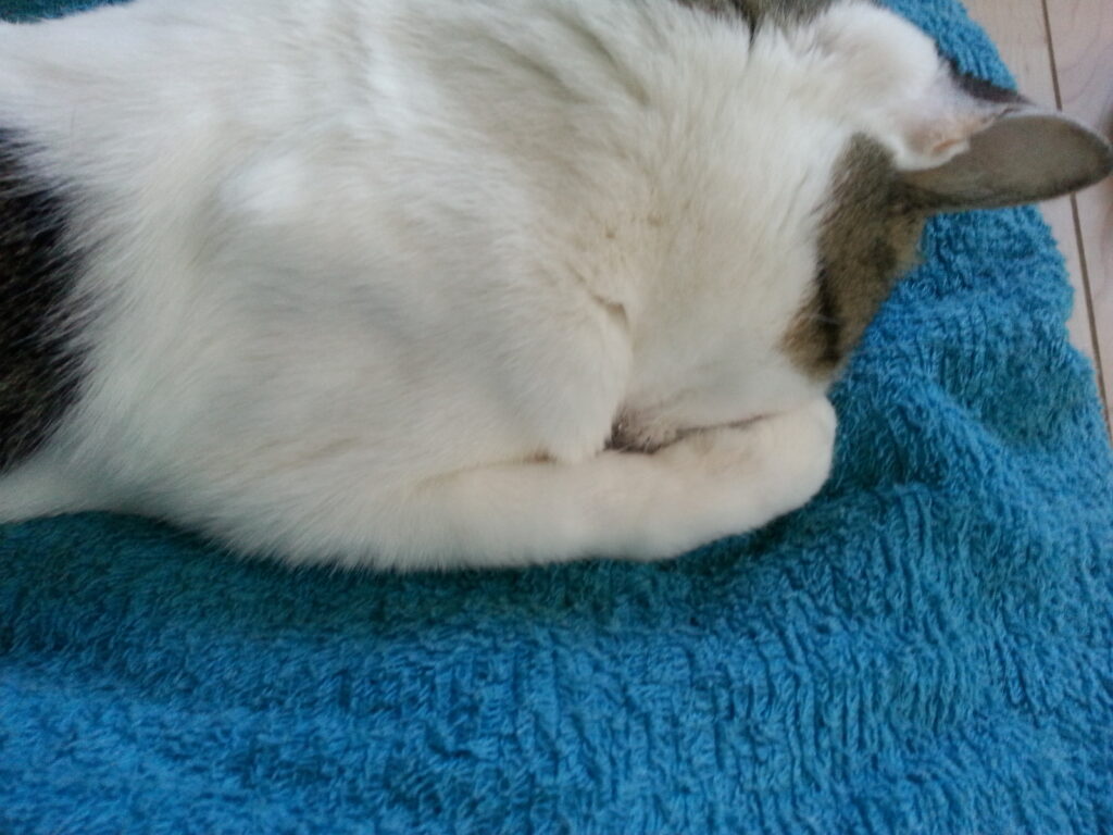 小児チーフtakeのブログ　病棟　胸つまる　大丈夫と勇気づけたい