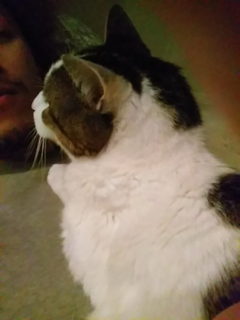 ブライダルネイルデザインは埋め込みフラワーがオススメ!　チーフtakeのブログ