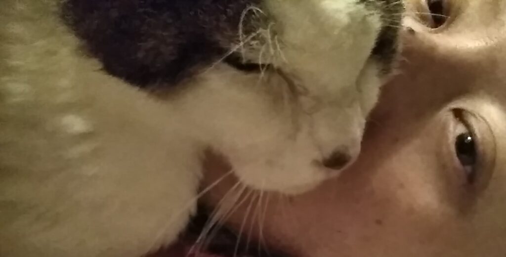 簡単スタイリング!　チーフtakeのブログ