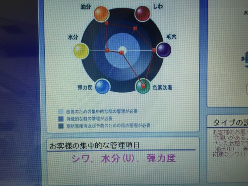 4/10肌診断会